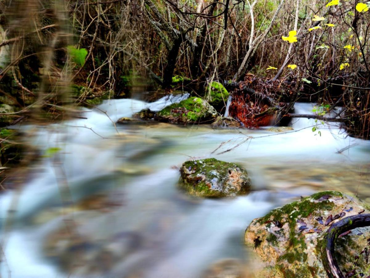 La Casa Del Naturalista El Bosque Εξωτερικό φωτογραφία