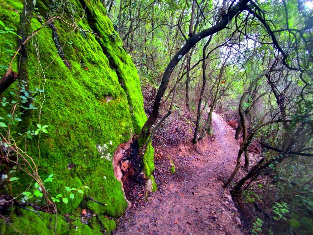 La Casa Del Naturalista El Bosque Εξωτερικό φωτογραφία
