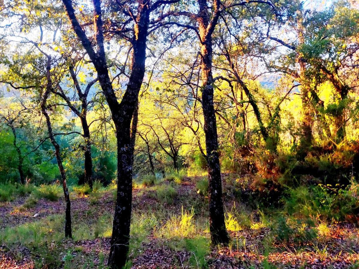 La Casa Del Naturalista El Bosque Εξωτερικό φωτογραφία