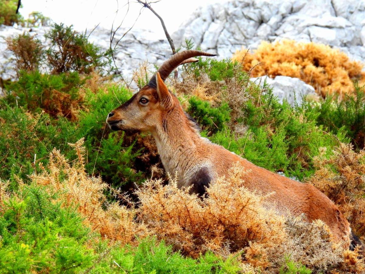 La Casa Del Naturalista El Bosque Εξωτερικό φωτογραφία