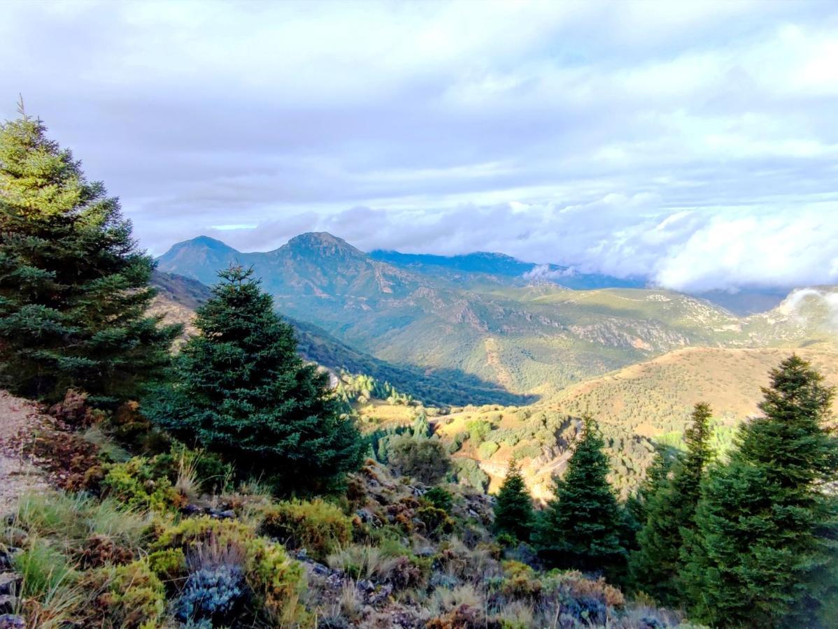 La Casa Del Naturalista El Bosque Εξωτερικό φωτογραφία