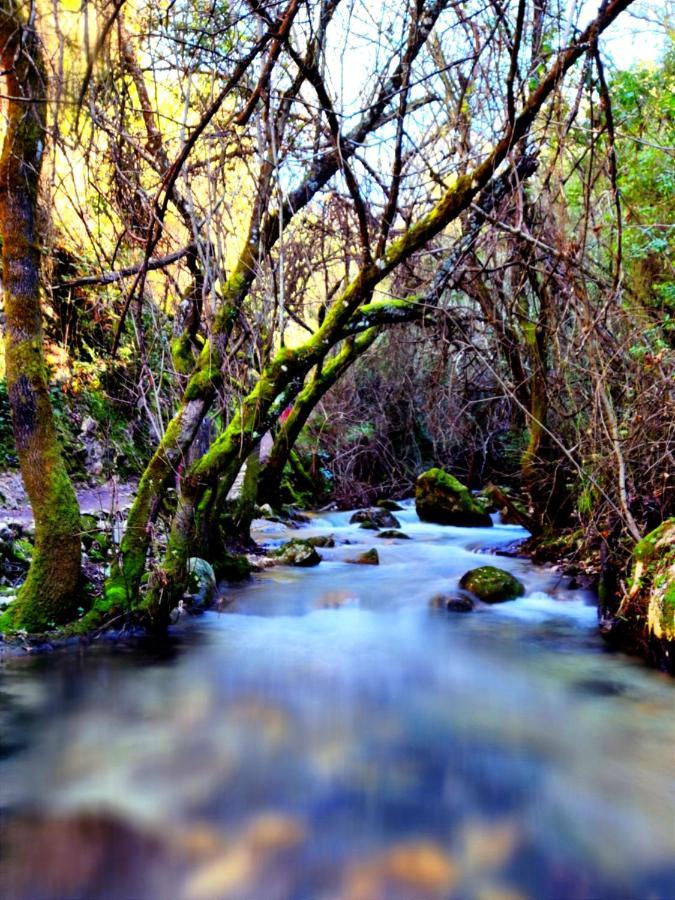 La Casa Del Naturalista El Bosque Εξωτερικό φωτογραφία